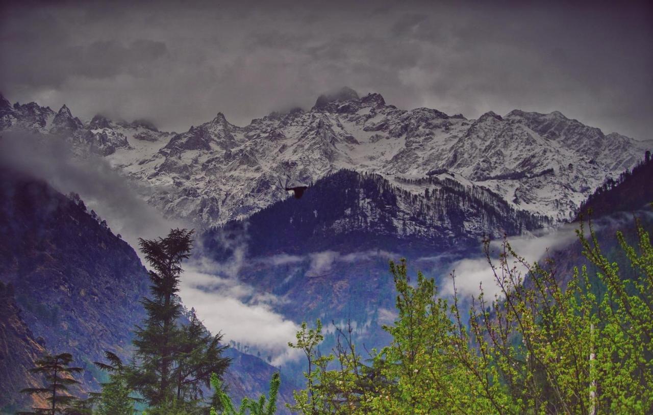 Memoir Homestay Kasol Εξωτερικό φωτογραφία